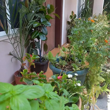 Dajti View Ap Appartement Tirana